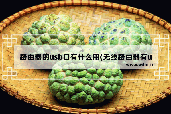 路由器的usb口有什么用(无线路由器有usb接口)