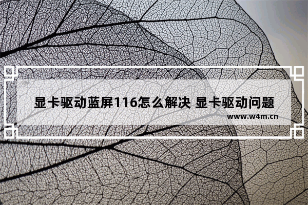 显卡驱动蓝屏116怎么解决 显卡驱动问题蓝屏