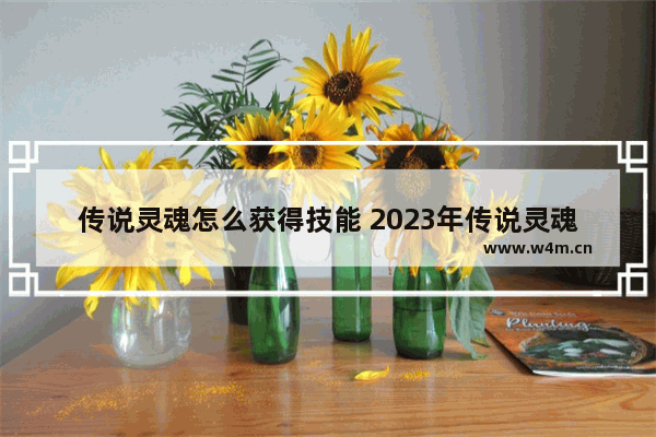 传说灵魂怎么获得技能 2023年传说灵魂快速获得方法