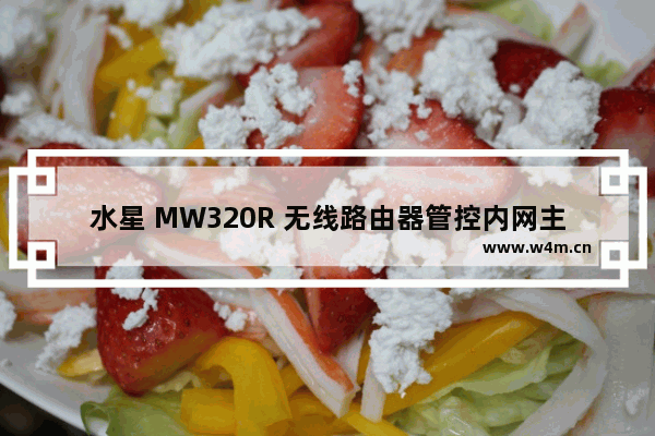 水星 MW320R 无线路由器管控内网主机上网权限指南