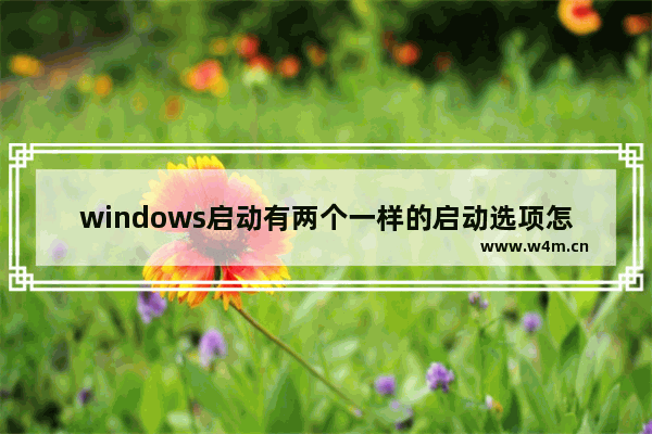 windows启动有两个一样的启动选项怎么弄 修复win启动有两个一样的启动选项的方法