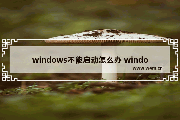 windows不能启动怎么办 windows不能成功启动怎么办