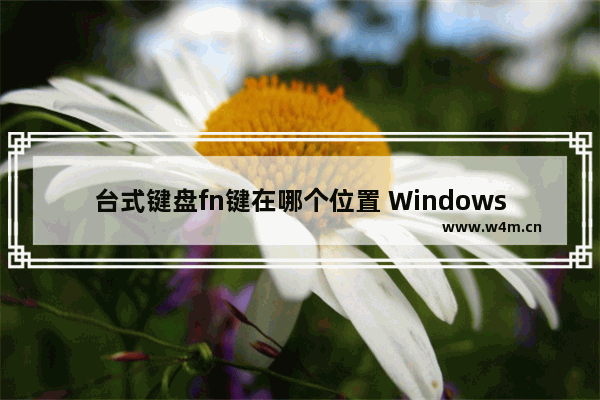 台式键盘fn键在哪个位置 Windows 键盘 F1~F12 功能键使用指南