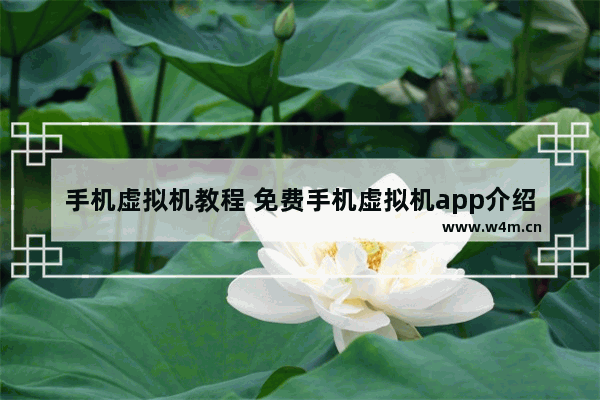 手机虚拟机教程 免费手机虚拟机app介绍