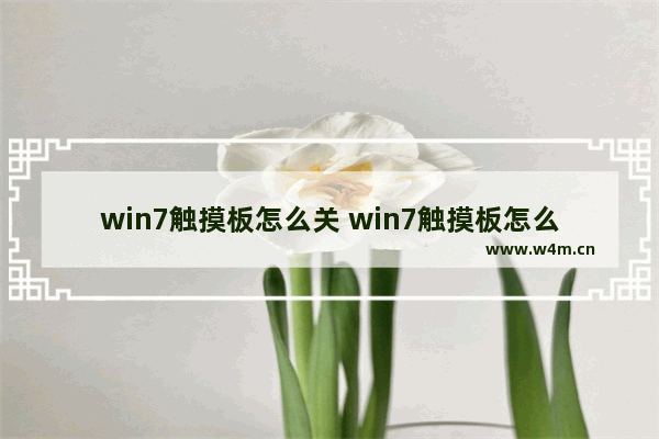 win7触摸板怎么关 win7触摸板怎么关闭不了怎么办