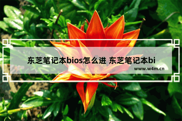 东芝笔记本bios怎么进 东芝笔记本bios进不去