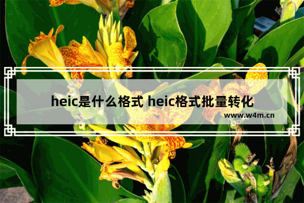 heic是什么格式 heic格式批量转化jpg