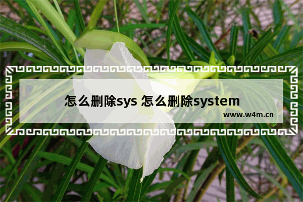 怎么删除sys 怎么删除system