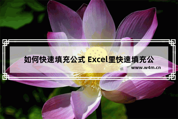 如何快速填充公式 Excel里快速填充公式的方法