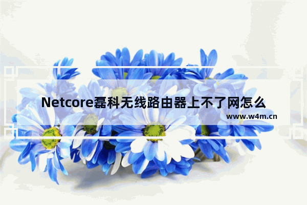 Netcore磊科无线路由器上不了网怎么解决？