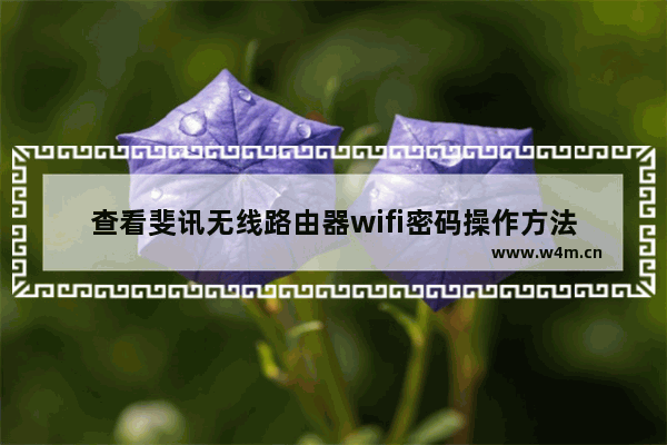 查看斐讯无线路由器wifi密码操作方法