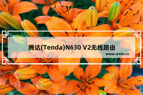 腾达(Tenda)N630 V2无线路由器固定IP上网设置教程