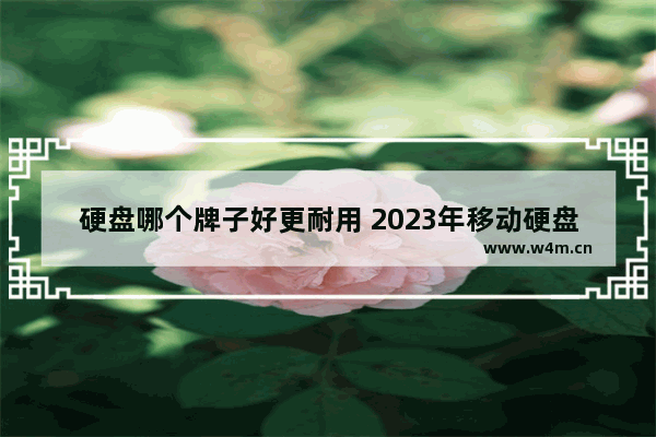 硬盘哪个牌子好更耐用 2023年移动硬盘排行榜