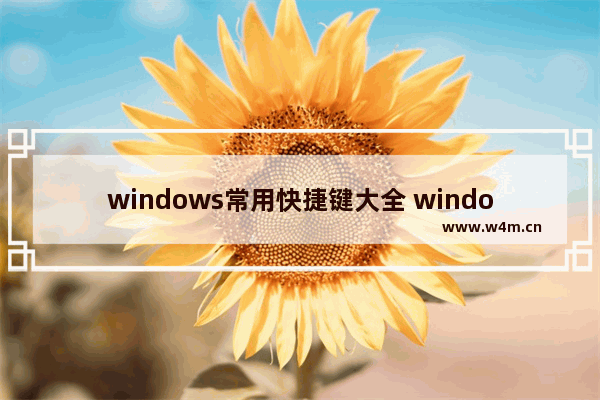 windows常用快捷键大全 windows系统最常用的20个快捷键