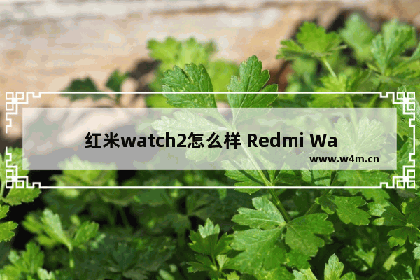 红米watch2怎么样 Redmi Watch 2手表评测