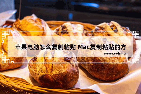 苹果电脑怎么复制粘贴 Mac复制粘贴的方法