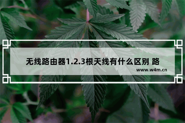 无线路由器1.2.3根天线有什么区别 路由器的天线数量越多信号就越好吗