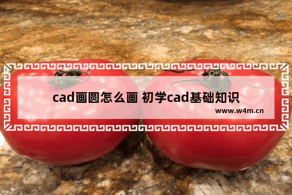 cad画圆怎么画 初学cad基础知识