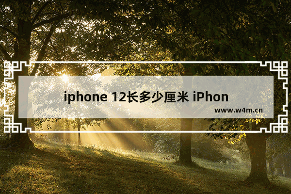 iphone 12长多少厘米 iPhone 12手机的详细介绍