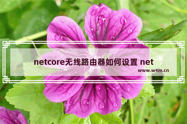 netcore无线路由器如何设置 netcore无线路由器设置教程