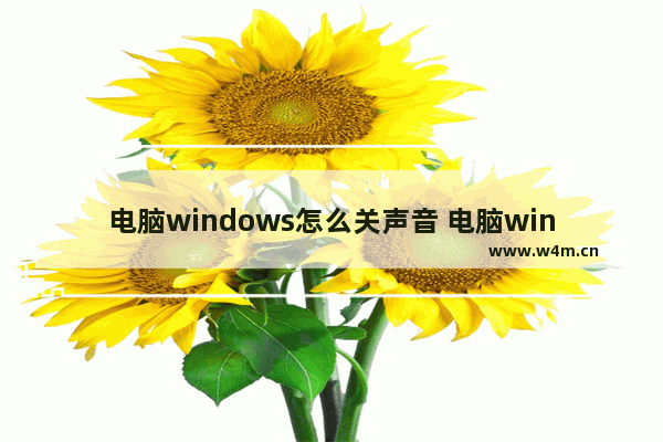 电脑windows怎么关声音 电脑windows怎么升级