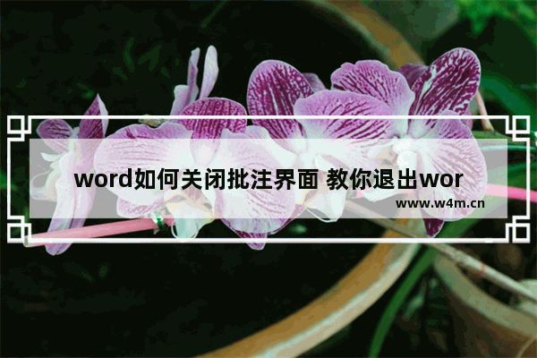 word如何关闭批注界面 教你退出word的批改模式