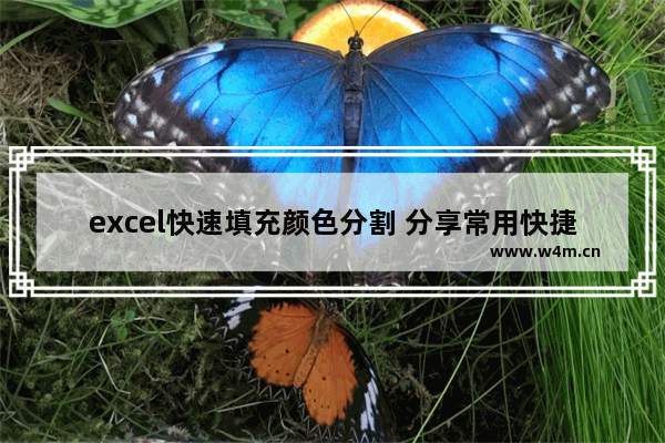 excel快速填充颜色分割 分享常用快捷键命令大全