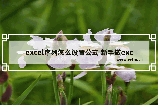 excel序列怎么设置公式 新手做excel表格基础教程