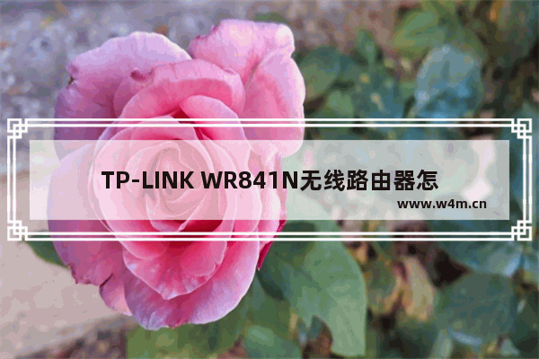 TP-LINK WR841N无线路由器怎么设置接口上网【步骤】