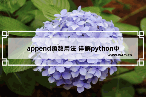 append函数用法 详解python中append后面的参数