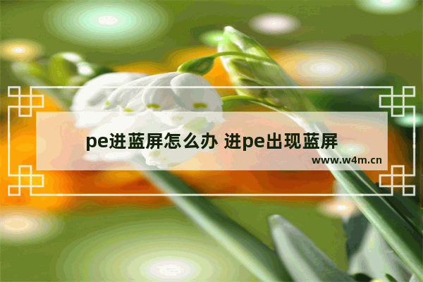 pe进蓝屏怎么办 进pe出现蓝屏