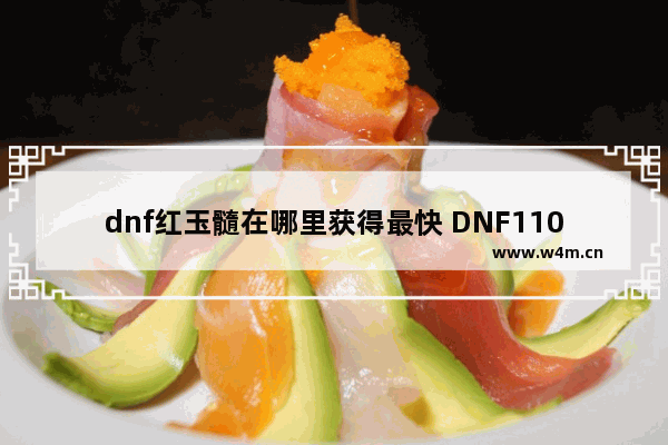 dnf红玉髓在哪里获得最快 DNF110级升级攻略