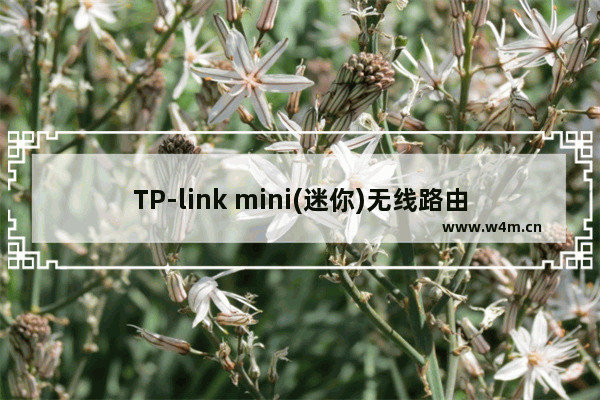 TP-link mini(迷你)无线路由器设置-Router模式