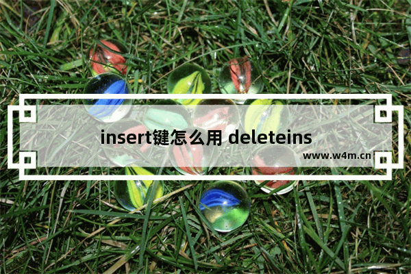 insert键怎么用 deleteinsert键怎么用