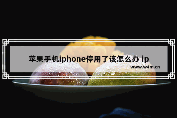 苹果手机iphone停用了该怎么办 iphone手机停用的解决方法