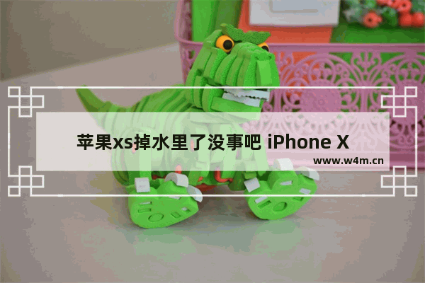 苹果xs掉水里了没事吧 iPhone Xs 进水的处理方案