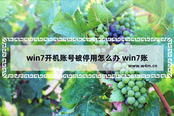 win7开机账号被停用怎么办 win7账号被停用进不去怎么办