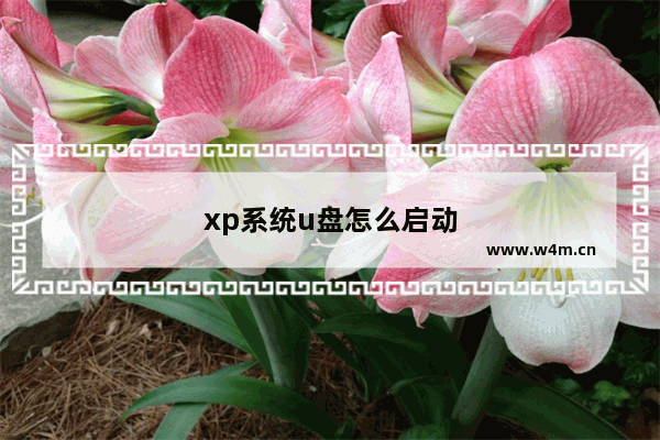 xp系统u盘怎么启动