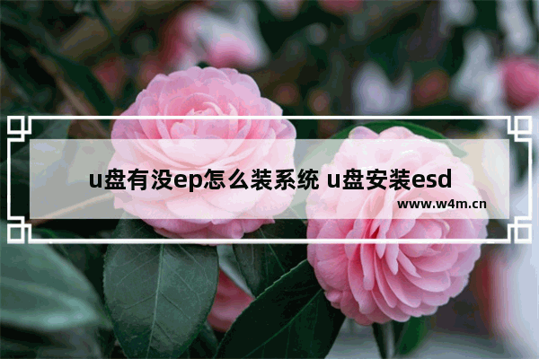 u盘有没ep怎么装系统 u盘安装esd