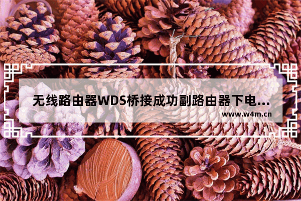 无线路由器WDS桥接成功副路由器下电脑无法上网怎么办【解决方法】