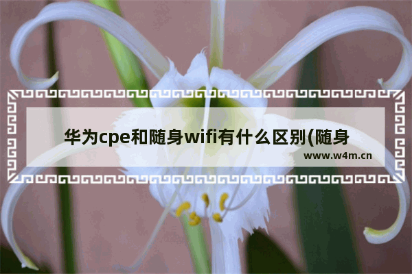 华为cpe和随身wifi有什么区别(随身wifi好还是无线路由器好)