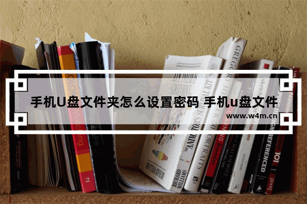 手机U盘文件夹怎么设置密码 手机u盘文件夹怎么设置密码