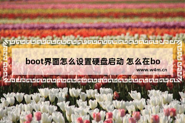 boot界面怎么设置硬盘启动 怎么在boot设置启动盘