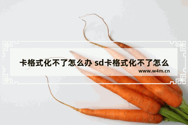 卡格式化不了怎么办 sd卡格式化不了怎么办