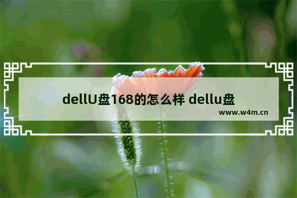 dellU盘168的怎么样 dellu盘装机步骤