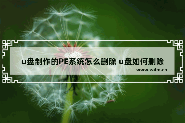 u盘制作的PE系统怎么删除 u盘如何删除pe系统