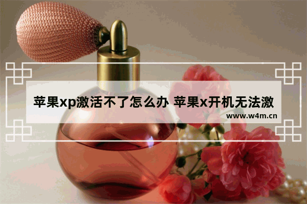 苹果xp激活不了怎么办 苹果x开机无法激活