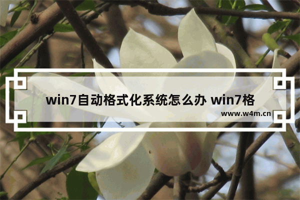 win7自动格式化系统怎么办 win7格式化电脑