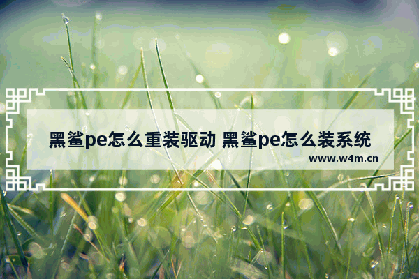 黑鲨pe怎么重装驱动 黑鲨pe怎么装系统