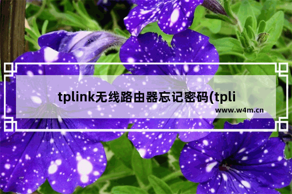 tplink无线路由器忘记密码(tplink路由忘记密码怎么办)